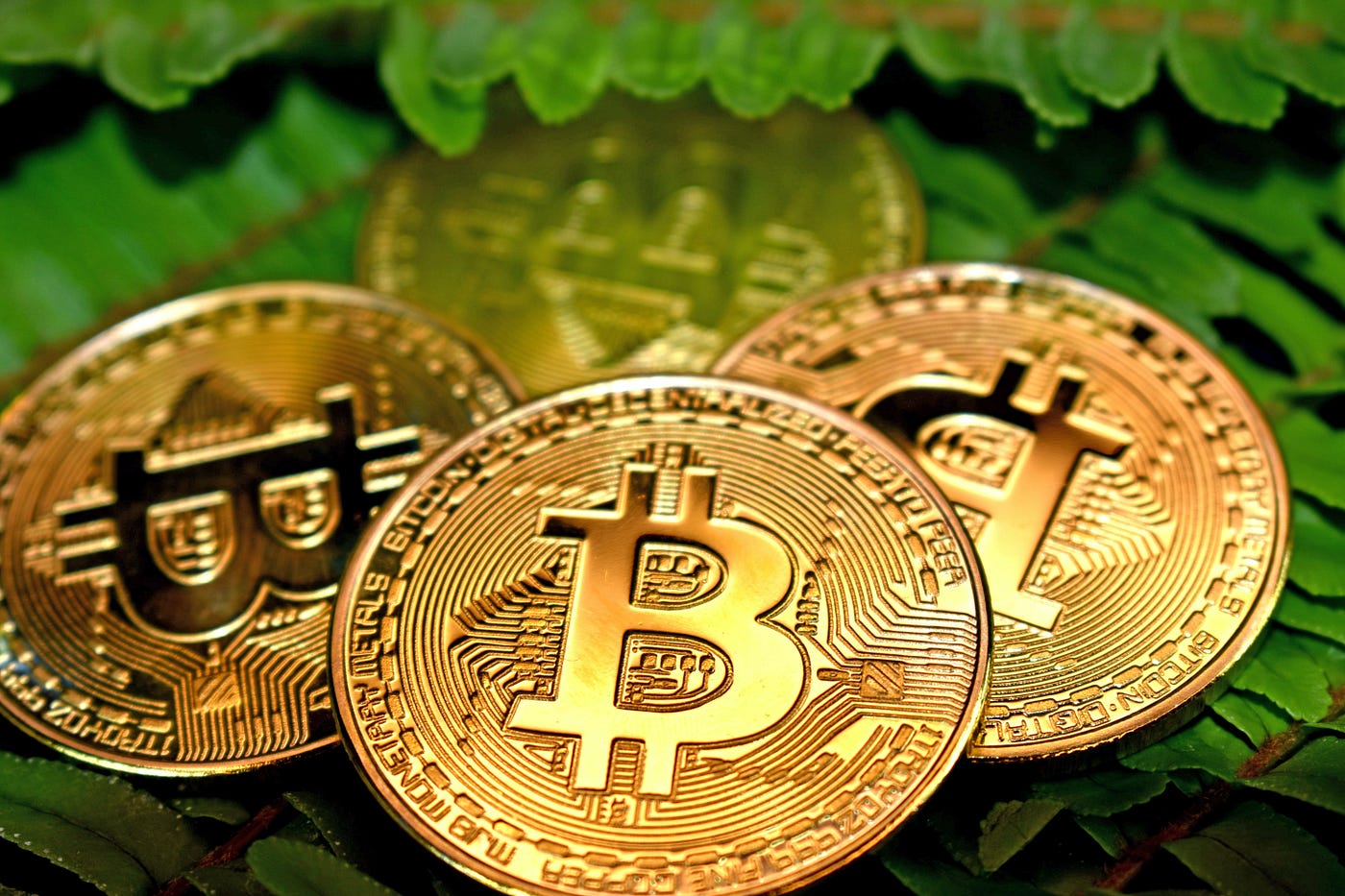 China Bans Bitcoin, Again - Mitchell Dong | by Point of View | Medium