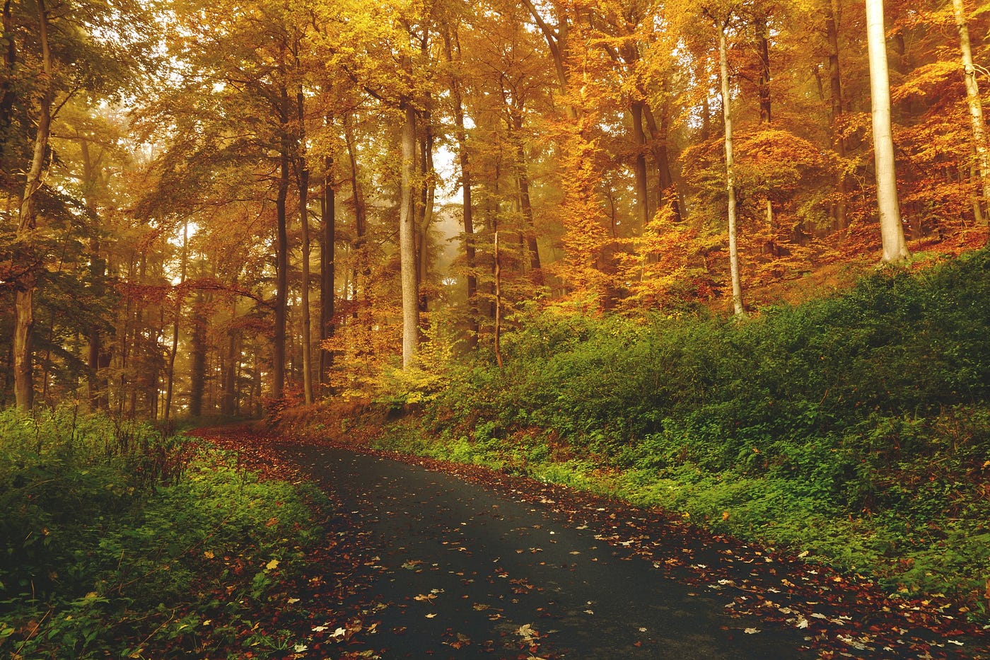 Foto: Sebastian Unrau / Unsplash