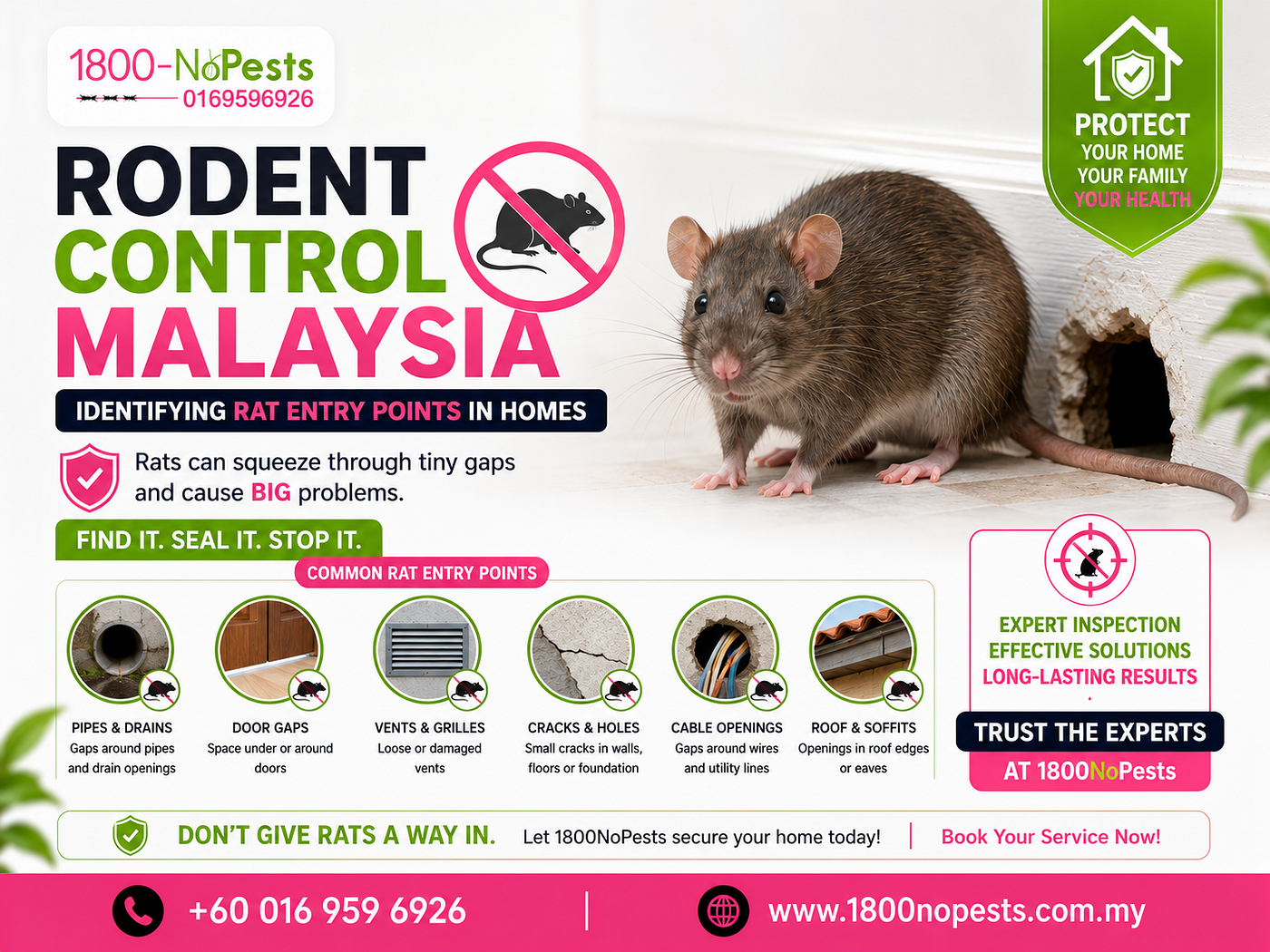 Rodent Control Malaysia | Identifying Rat Entry Points in Homes