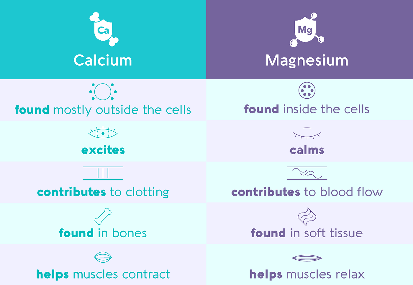 Magnesium and Calcium Intake Rates