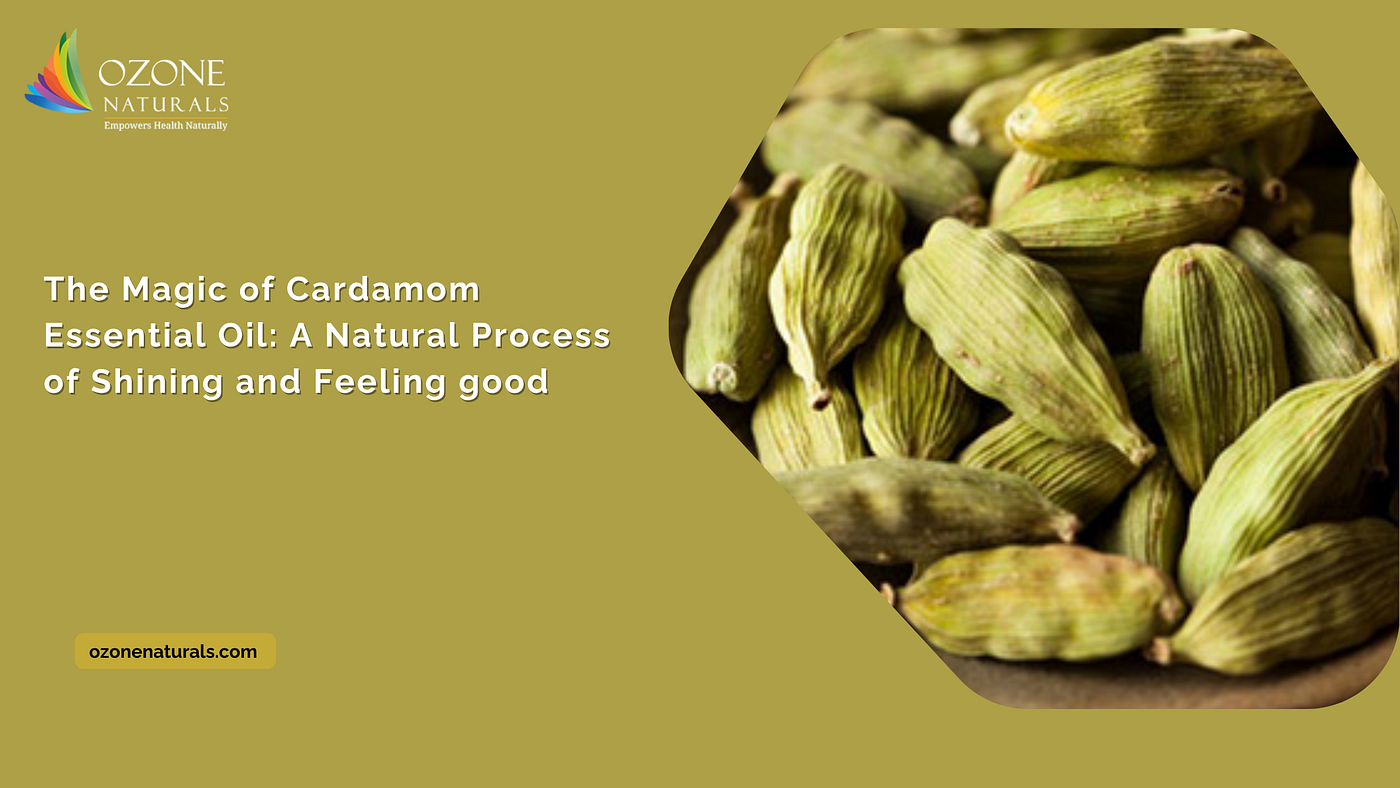 The Magic of Cardamom Essential Oil: A Natural Process of Shining and Feeling Good