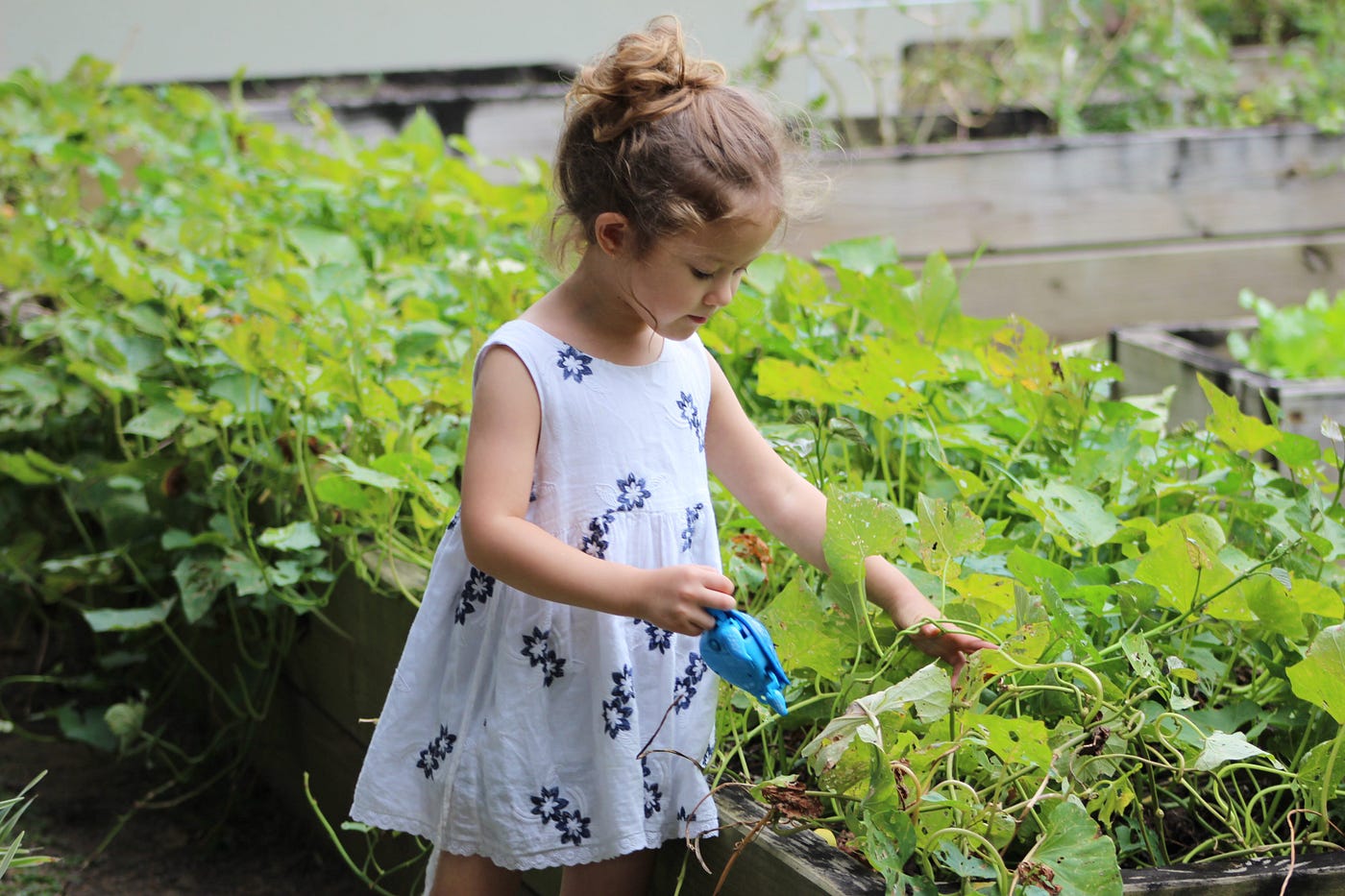 A young child in a white sleeveless dress with blue floral patterns is watering plants in a garden with a blue watering can. The child is focused on the task, and the garden is lush with green foliage.