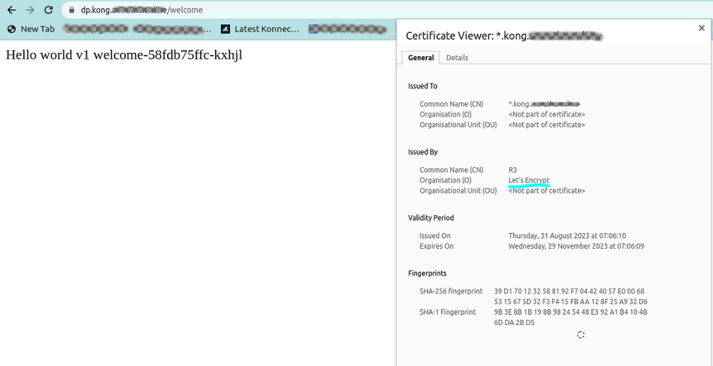 Access the workload through DP endpoint and verify Let’s Encrypt cert