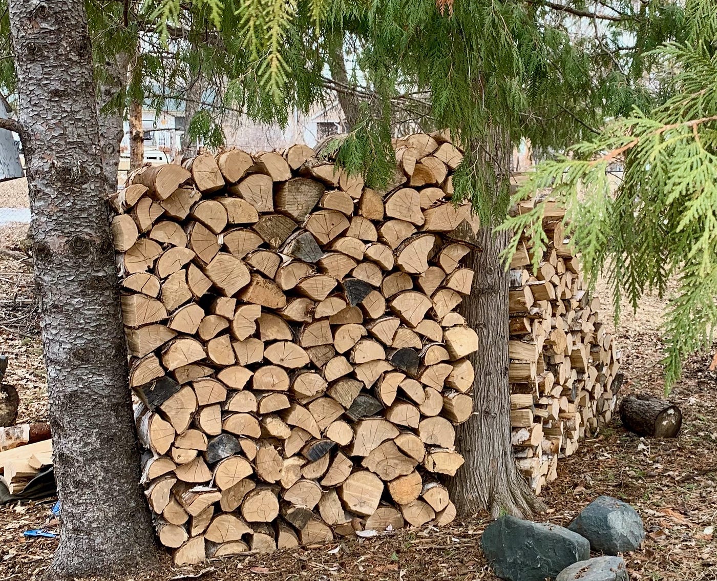 How Much Is A Cord Of Wood? Firewood Prices And Volume 2023