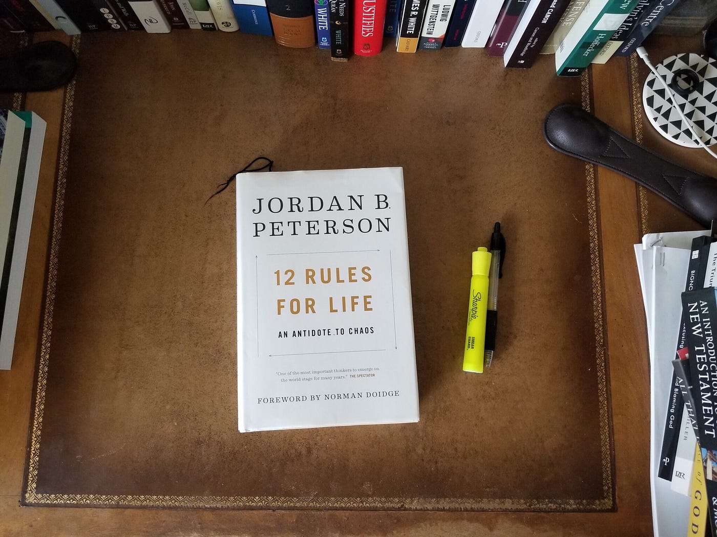 Tentang Keteraturan & Ketidakteraturan: Sebuah Resensi Buku “12 Rules for Life” karya Jordan B.