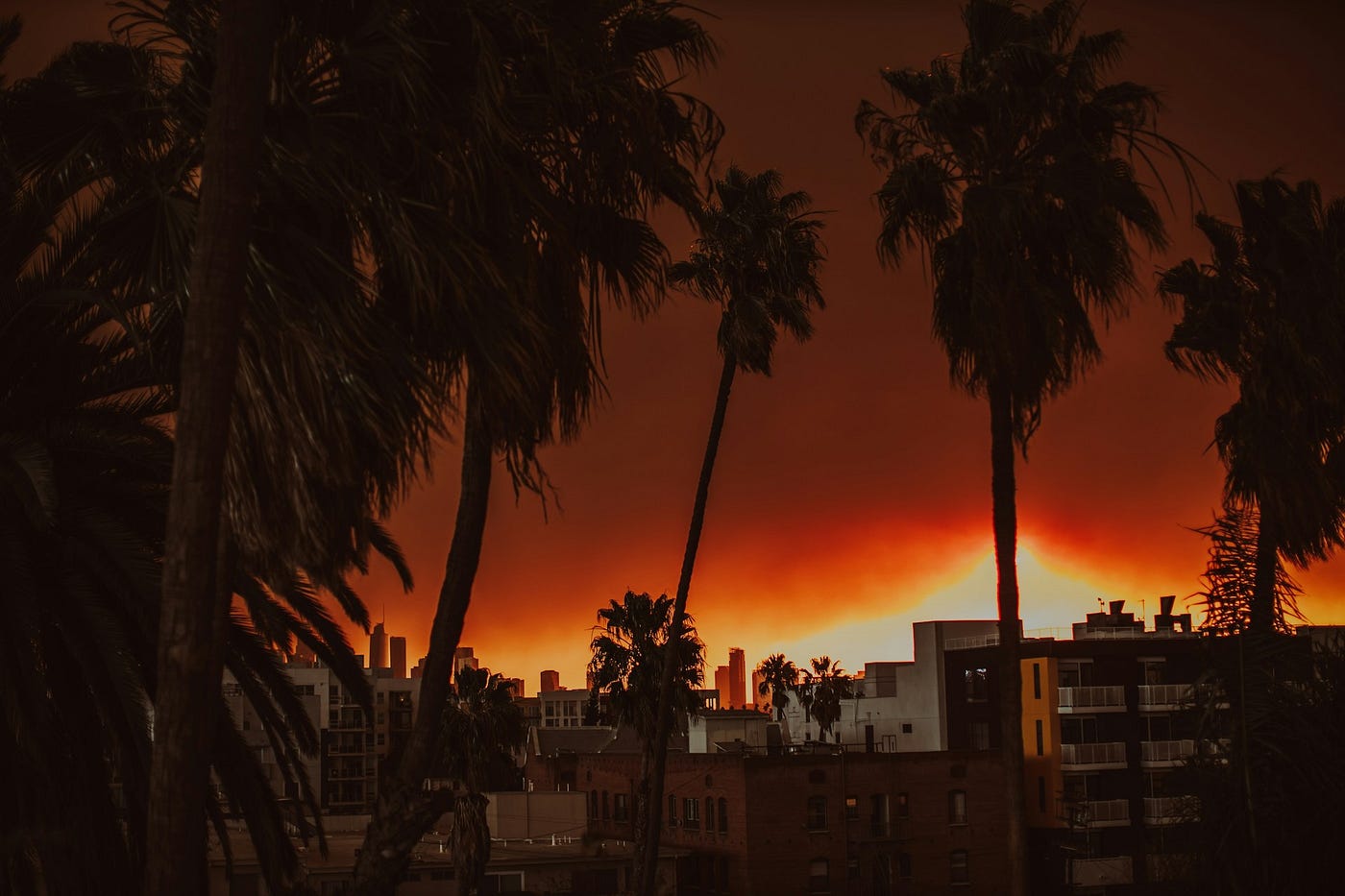 Photo by Jessica Christian on Unsplash