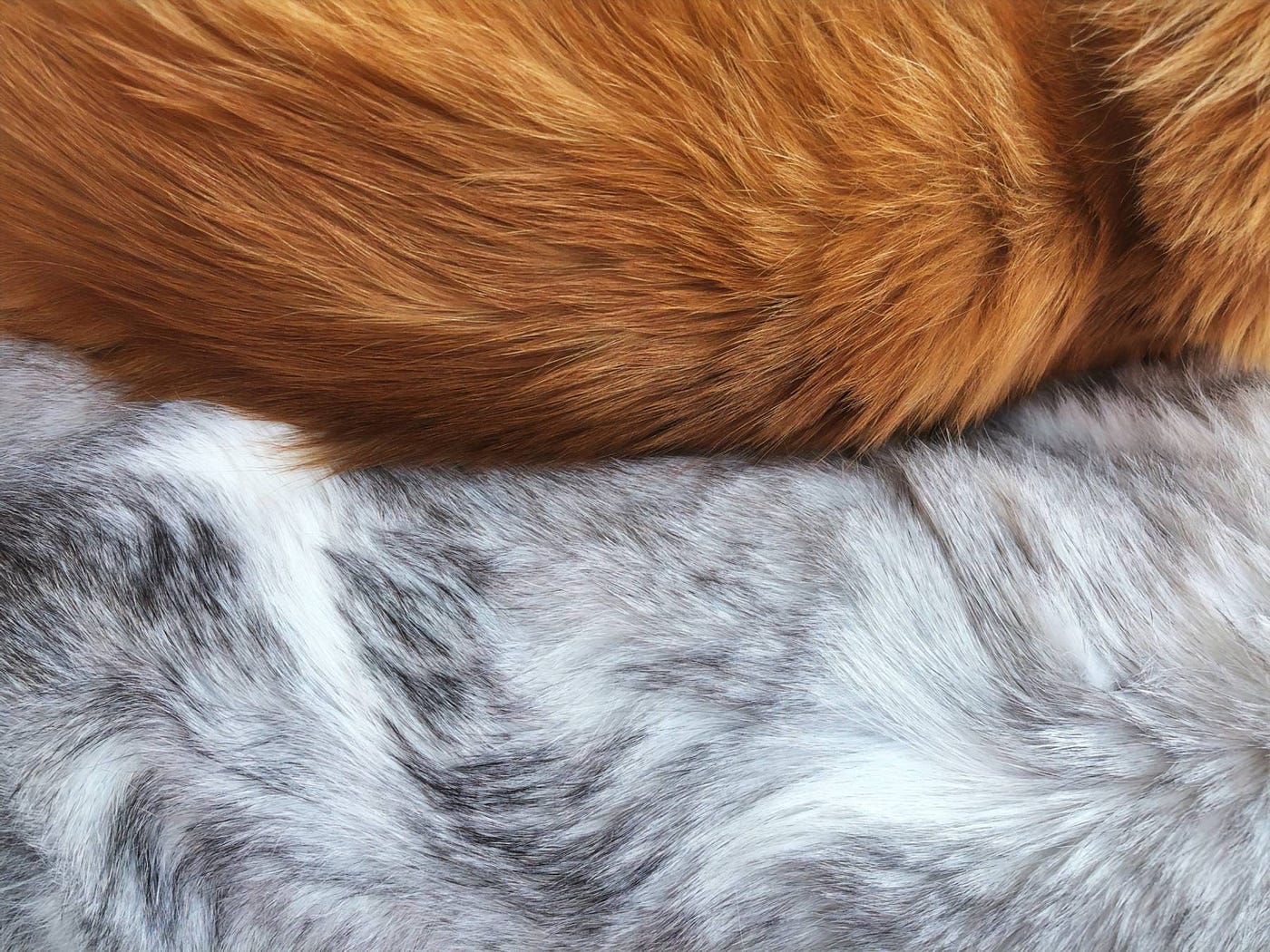 Chanel bans fur and animal skins