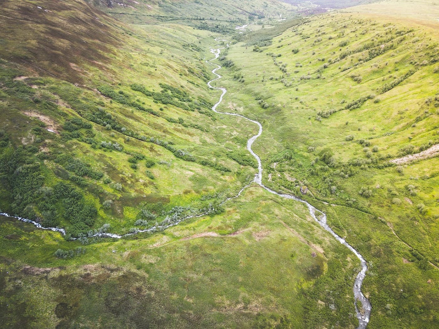 Why the Willow Project Is a Bad Idea