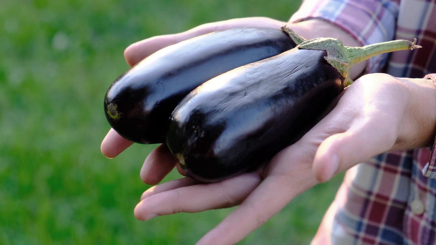 Eggplant jordans hotsell