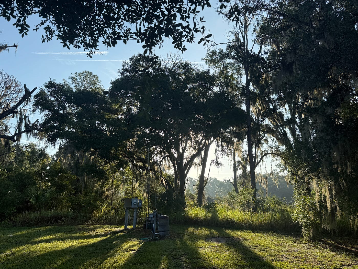 Photo, 2026, Channing Park by Robert G Metivier, Author