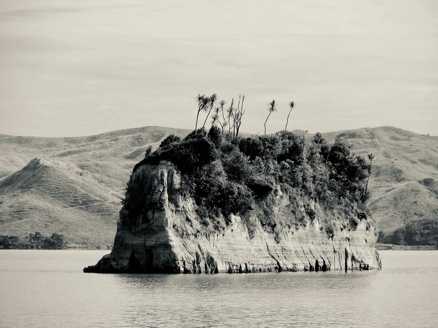 The Island