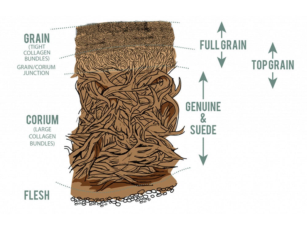 A diagram showing where full-grain leather comes from.