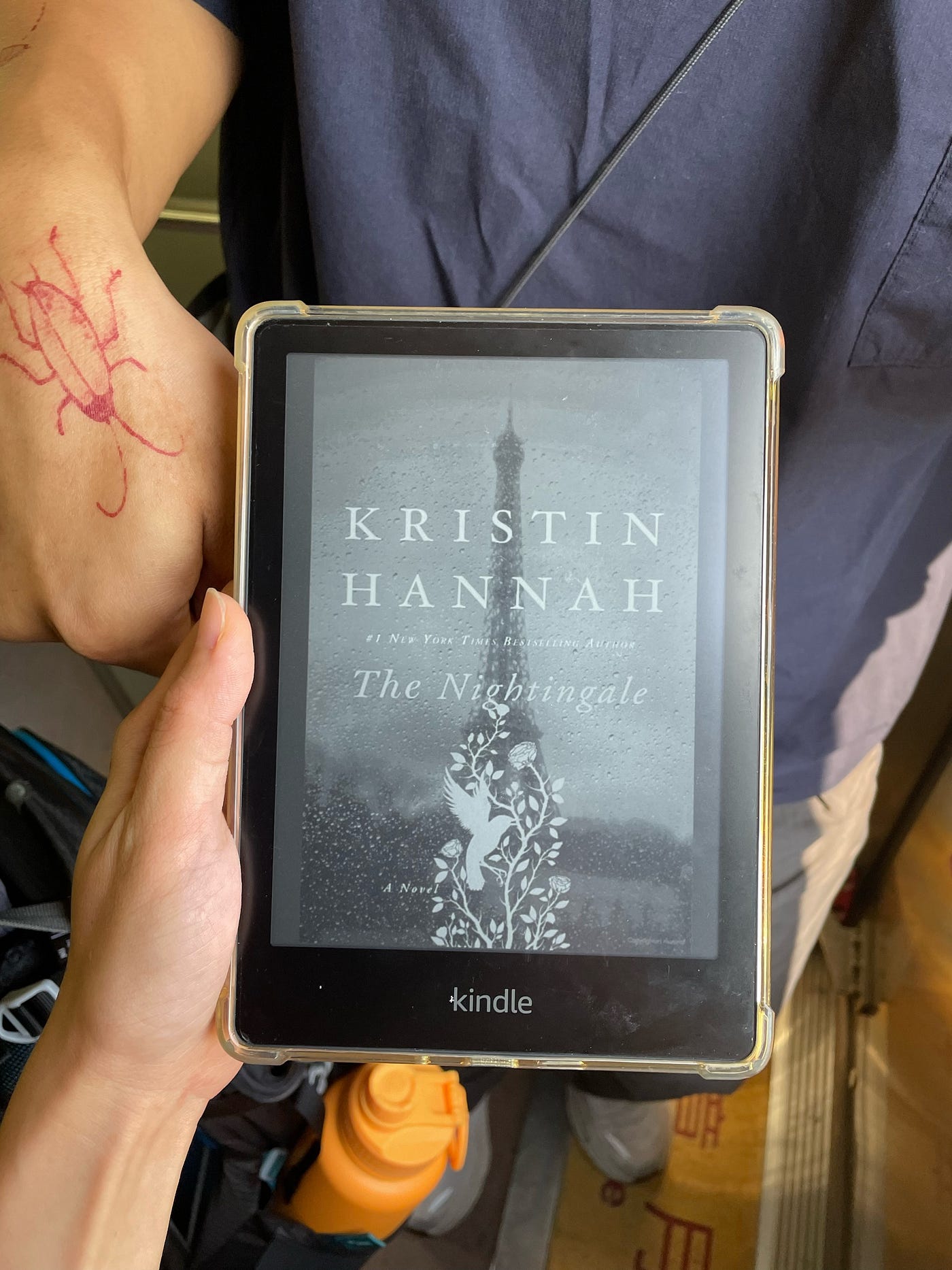 The Nightingale by Kristin Hannah