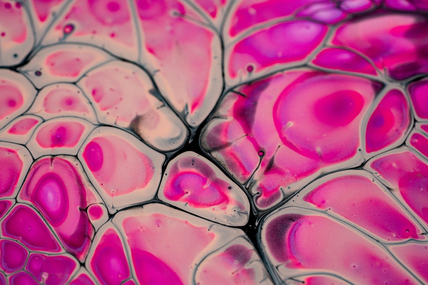 From ECM to ICM: Rethinking Skin Aging Through Cellular Function