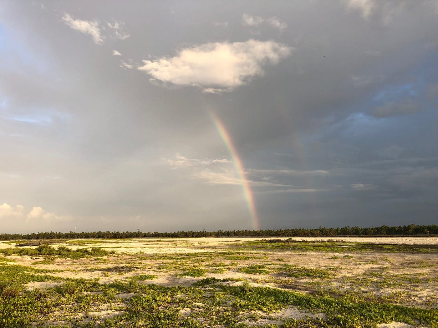 Atomic Island. A week in an unconventional paradise | by Brad Yonaka |  Globetrotters | Medium