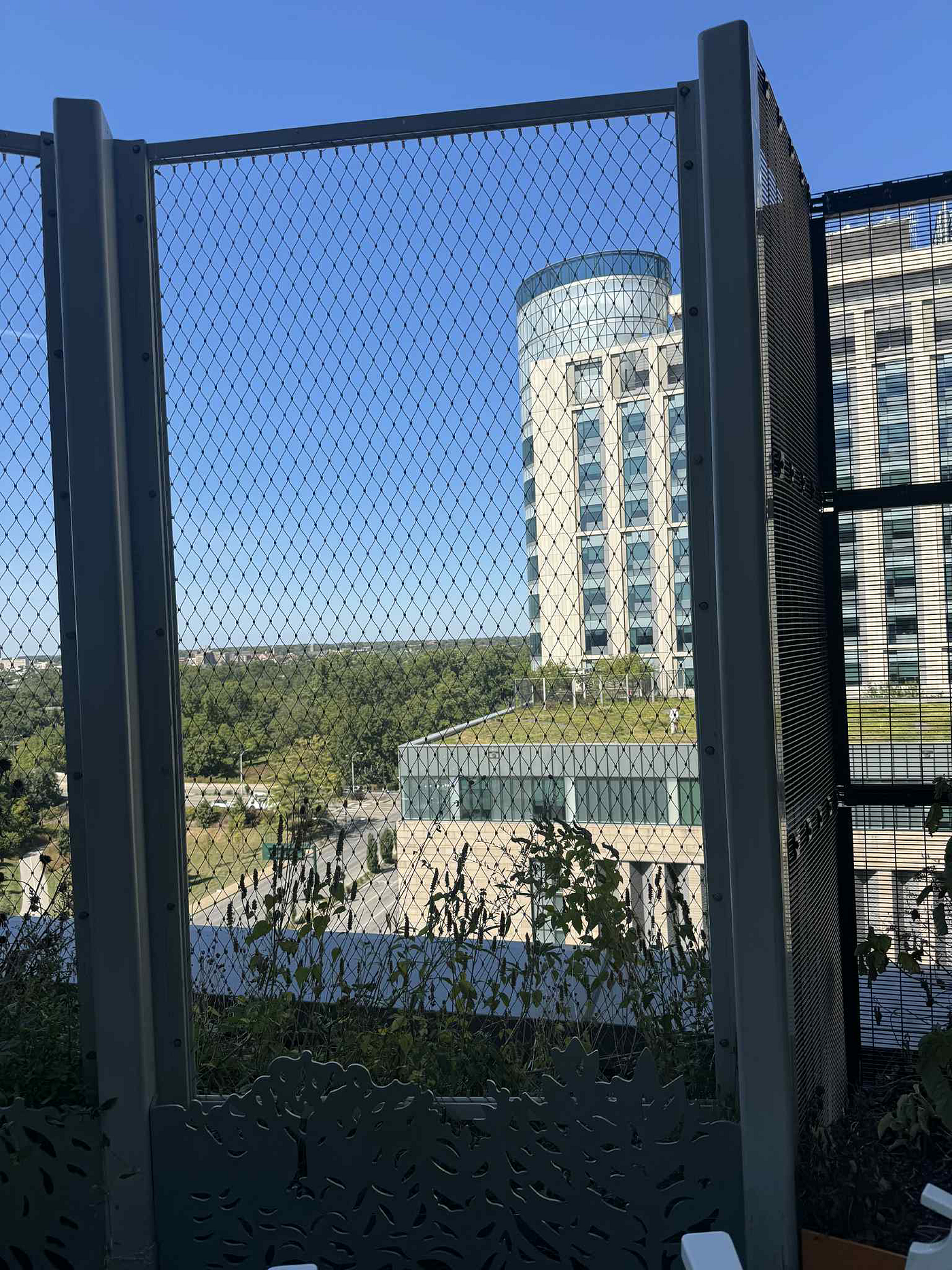WashU in St. Louis Day 6~7-無常