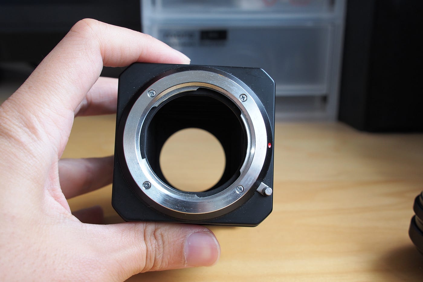 Minolta Compact Bellows & Auto Bellows Rokkor 100mm f4 | by LI Sam