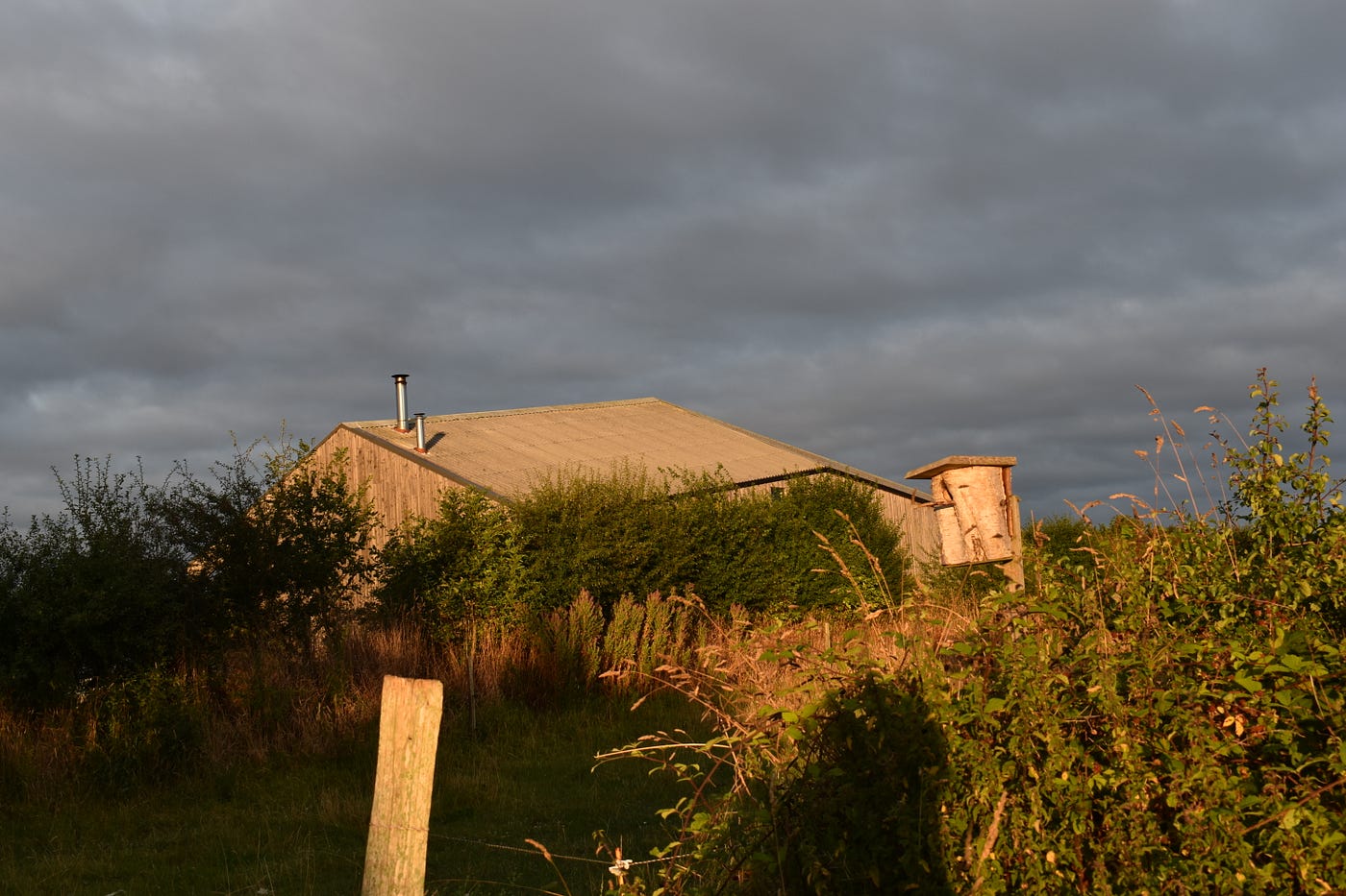 Installée depuis 2016 sur des terres à l’origine quasiment nues, la ferme des Hautes Terres a pu recréer une diversité d’habitats pour la vie sauvage (épisode 140)