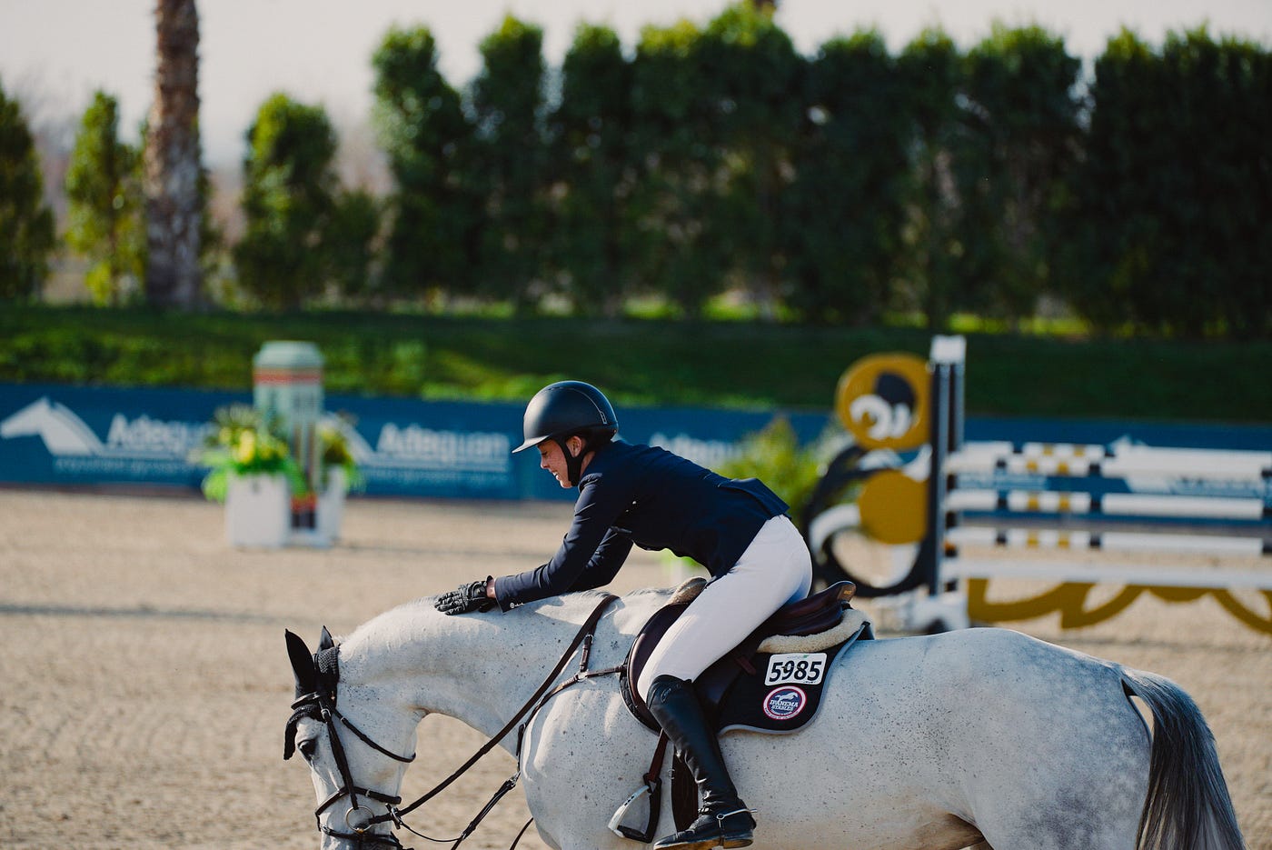Loving A World That May Cease to Exist: Equestrian Show Jumping’s Dire Need to Address Elitism and…