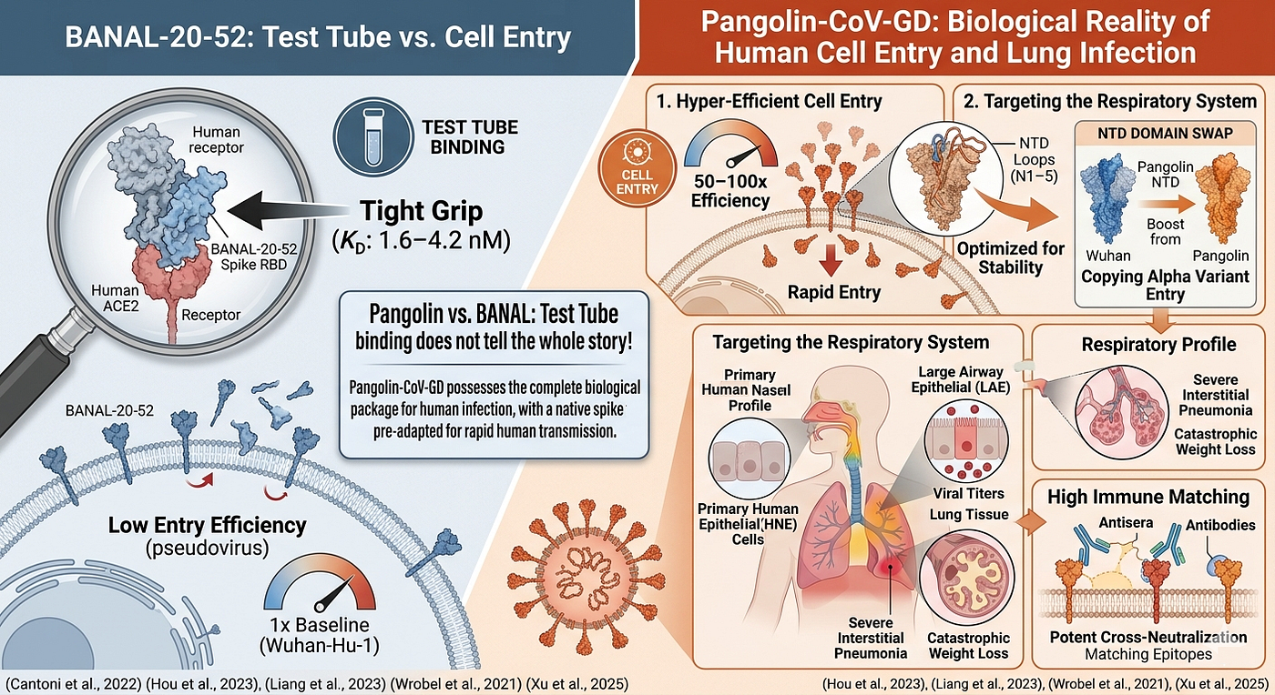 Pangolin vs. BANAL (Test Tube vs Tissue)