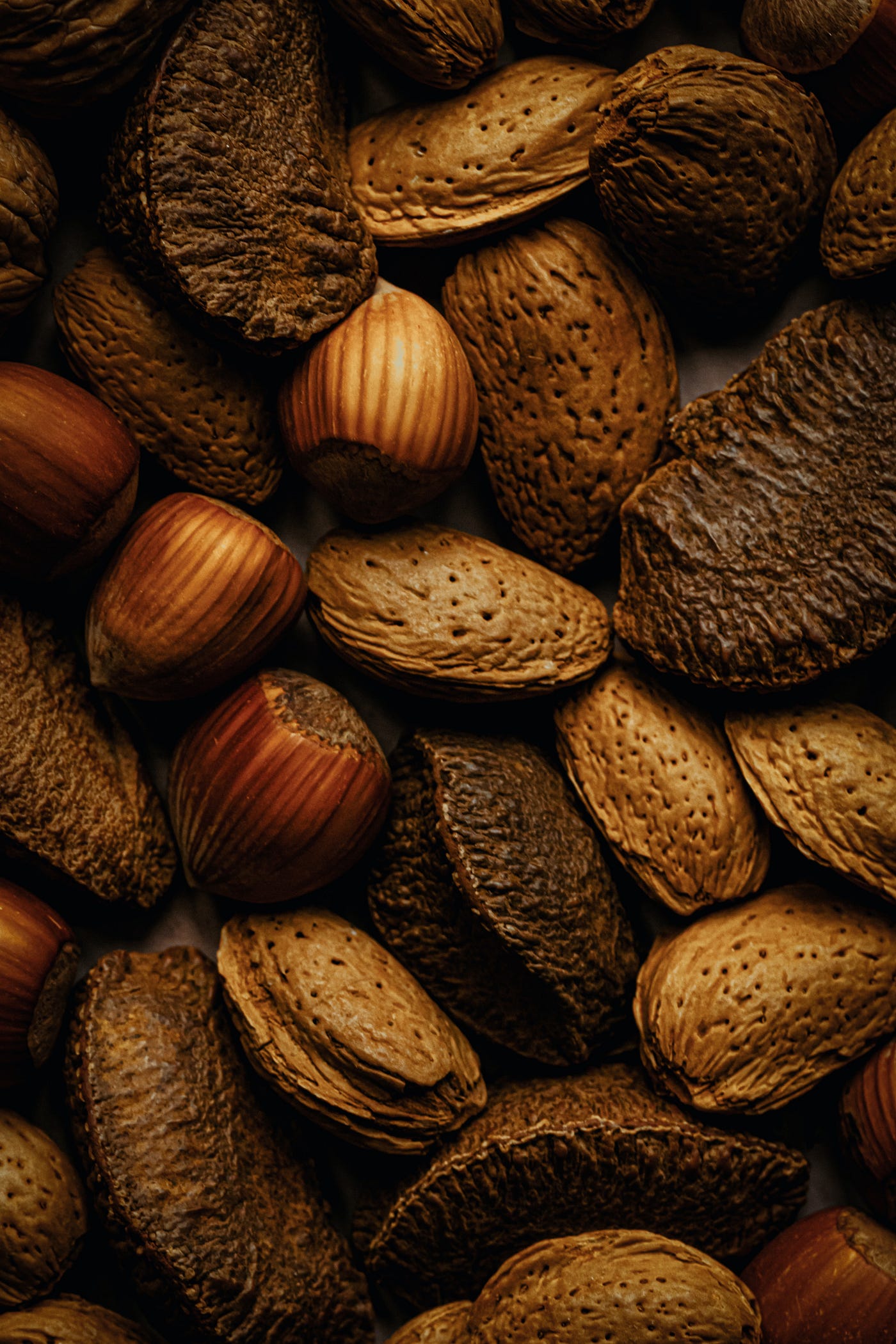 Christmas Tradition with My Granny Cracking Mixed Nuts With Shells by K. Joseph Medium