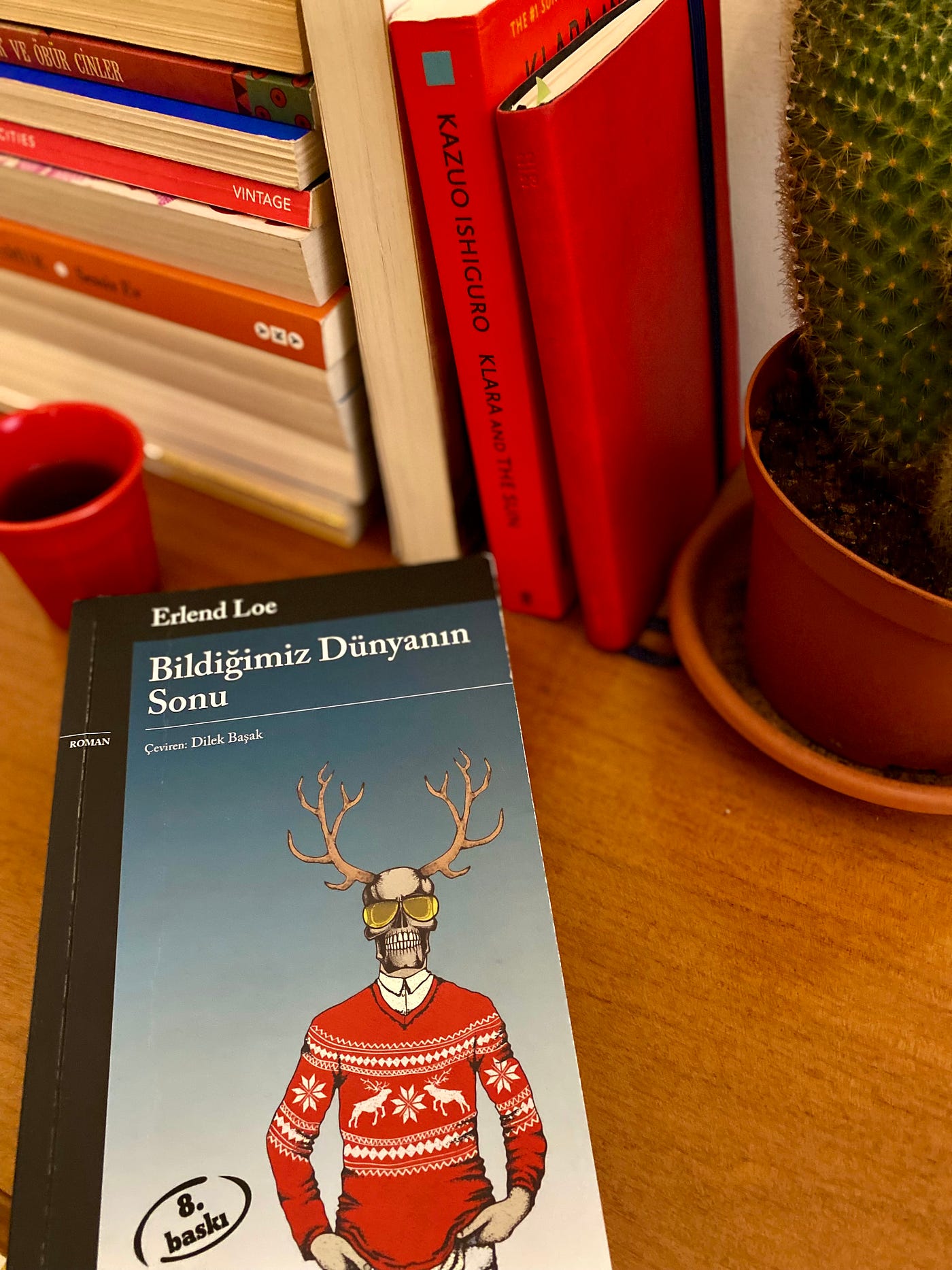 Picture taken by the author