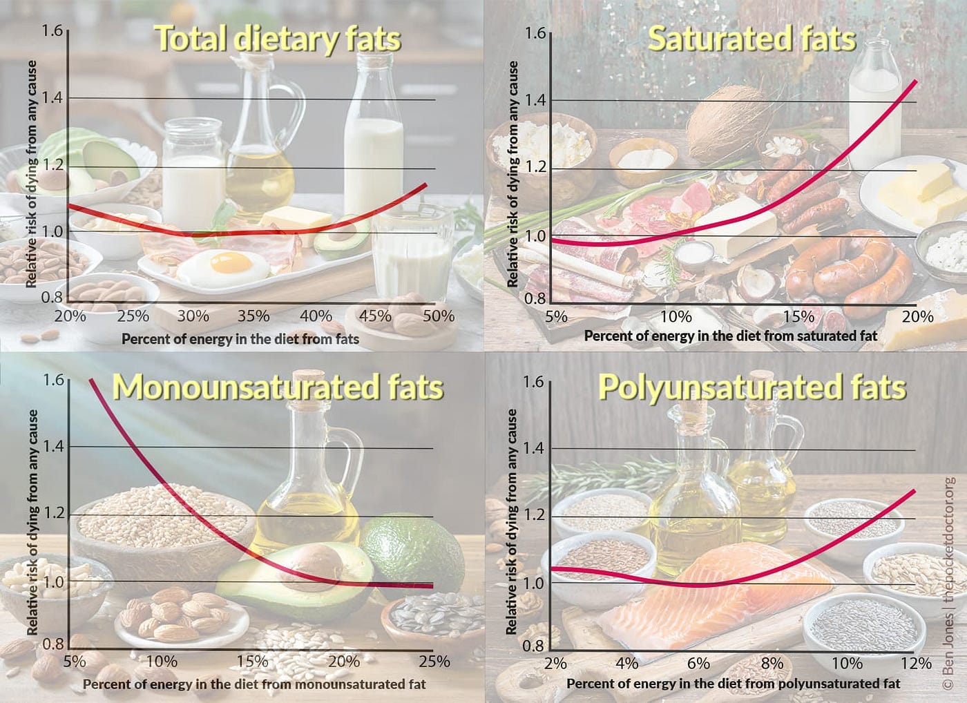 Mono And Polyunsaturated Fats Function