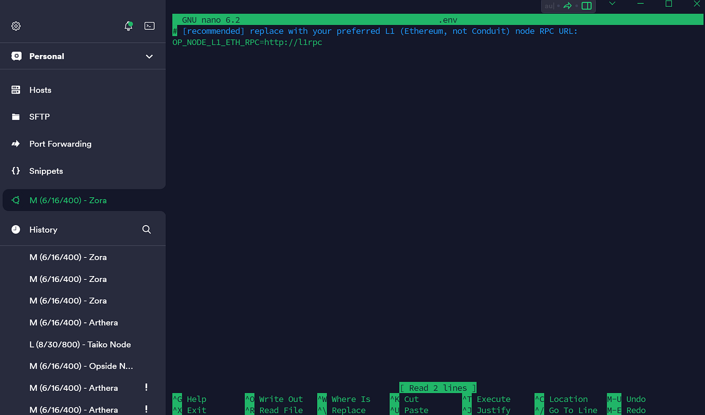 How to install & run the Zora Network Validator Node | by TrialsInCrypto |  Medium