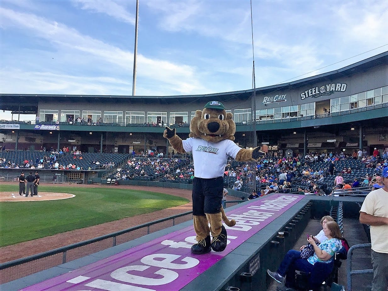 Help The South Bend Cubs Name Their Mascot - Bleed Cubbie Blue