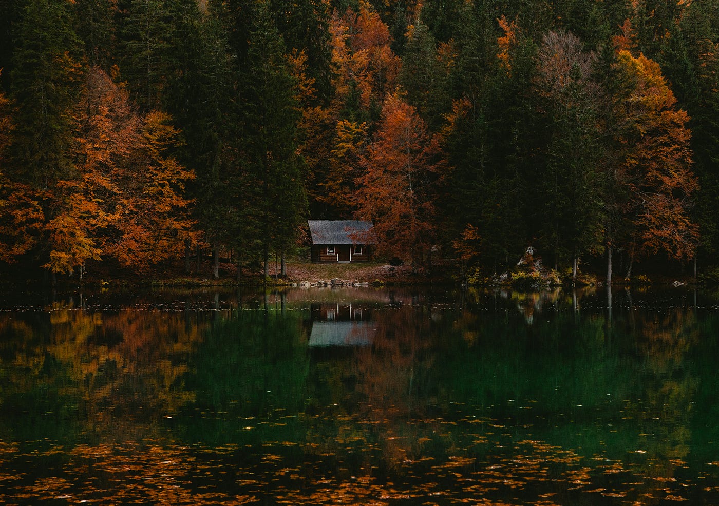 Photo by Sašo Tušar on Unsplash