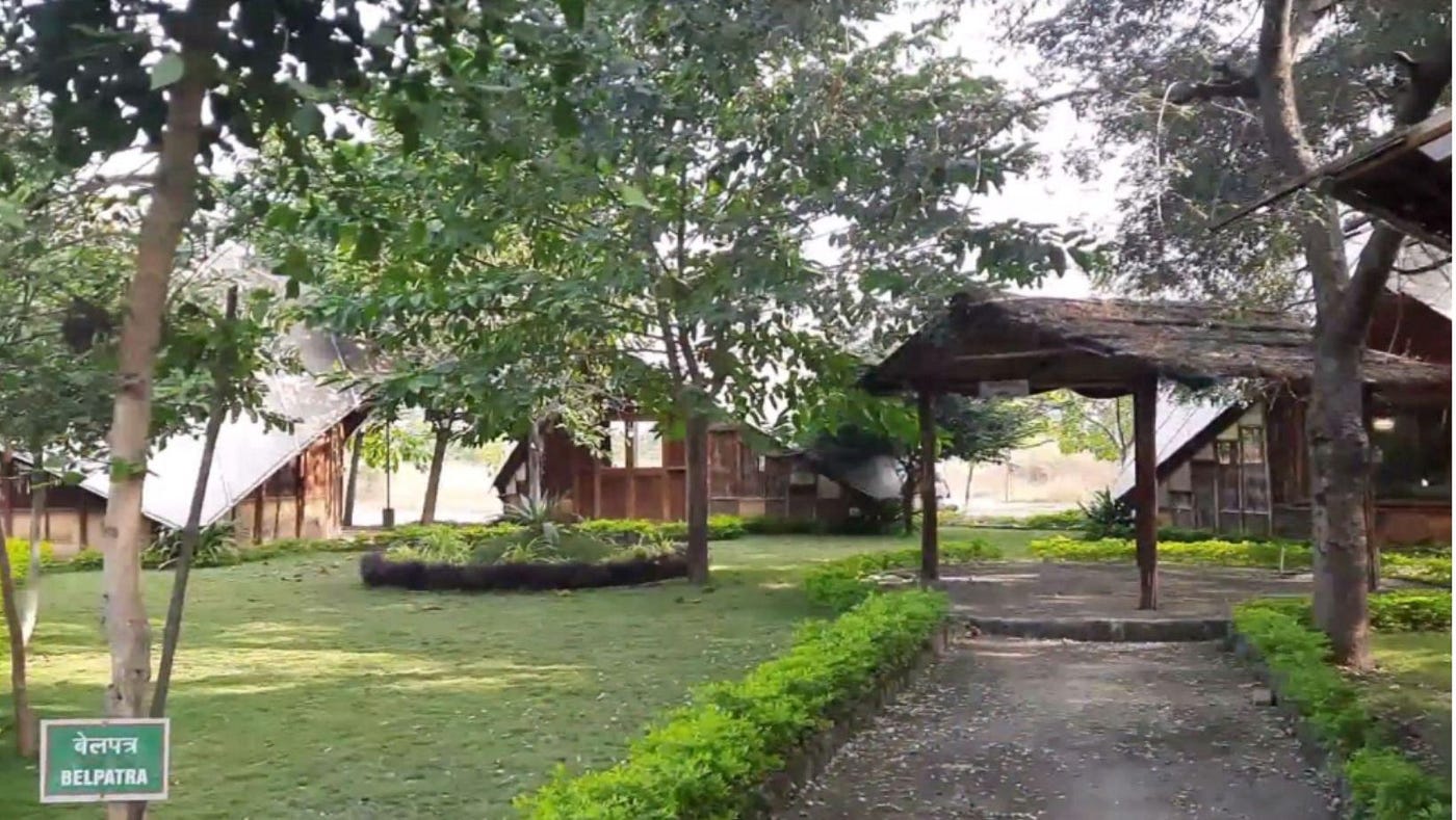 Best picnic spot in Nagpur : waki woods! | by Citybit - India Cities, Places to Visit! | Medium