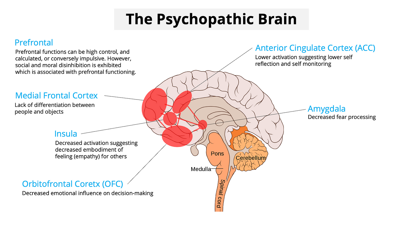 Brain self-regulation in criminal psychopaths