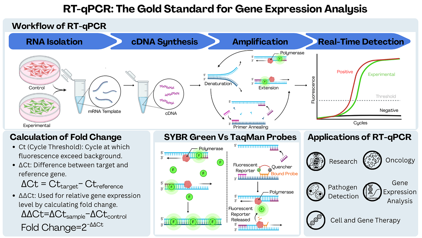 Decoding Gene Expression: The Power of RT-qPCR