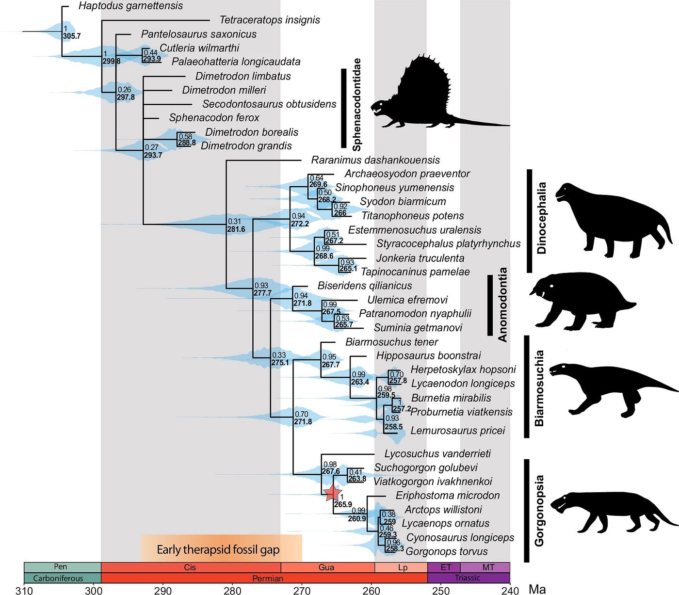 First Mammal On Earth Timeline