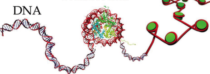*132* The Structural Discontinuity 1/5 of Life: We Didn’t Really Measure the W Boson — What It…