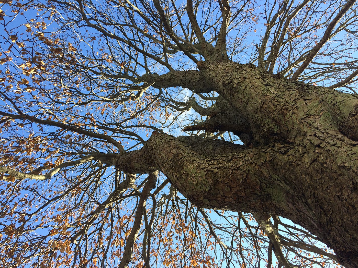 Sermon: Contempt & Love