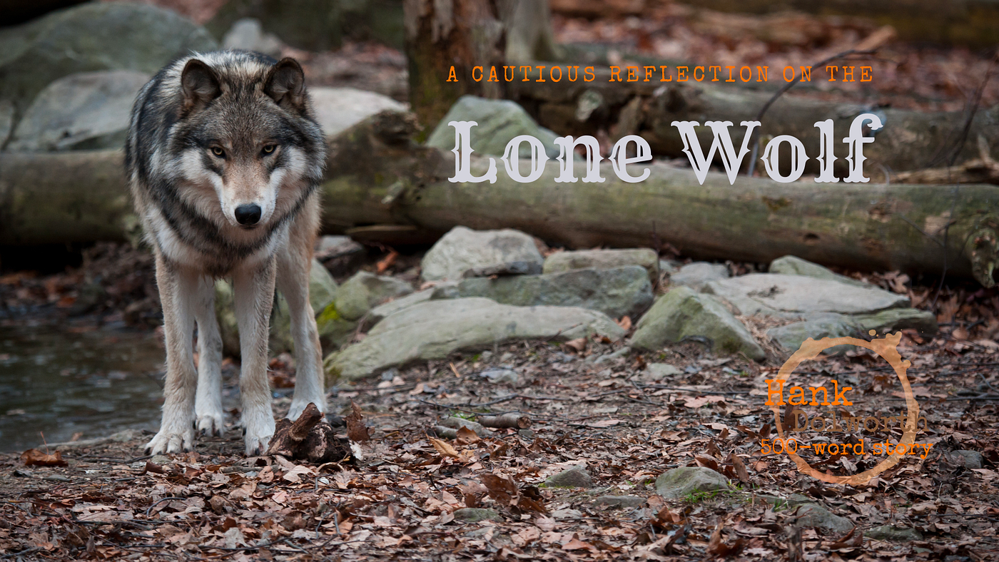Lone Wolf. A cautious reflection on lone wolves in… | by Hank Dolworth |  Dec, 2023 | Fuck Around Microfiction
