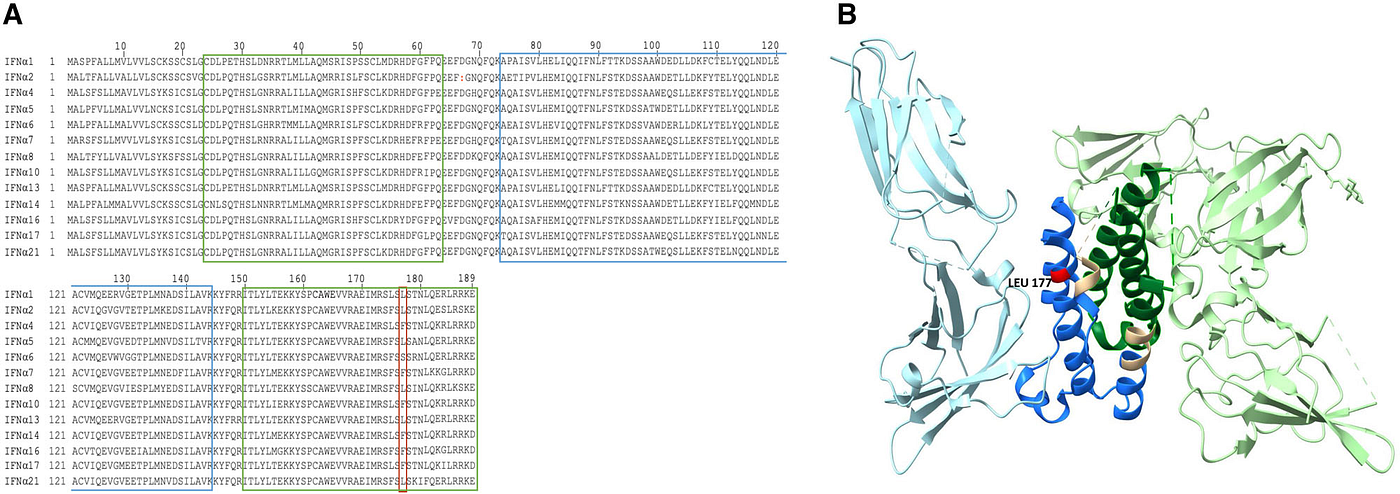 (Data source: Thomas RJM, et al. Eur J Immunol. 2023)