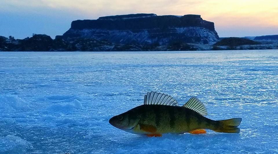 Solid ice advice. The ice fishing season provides a…