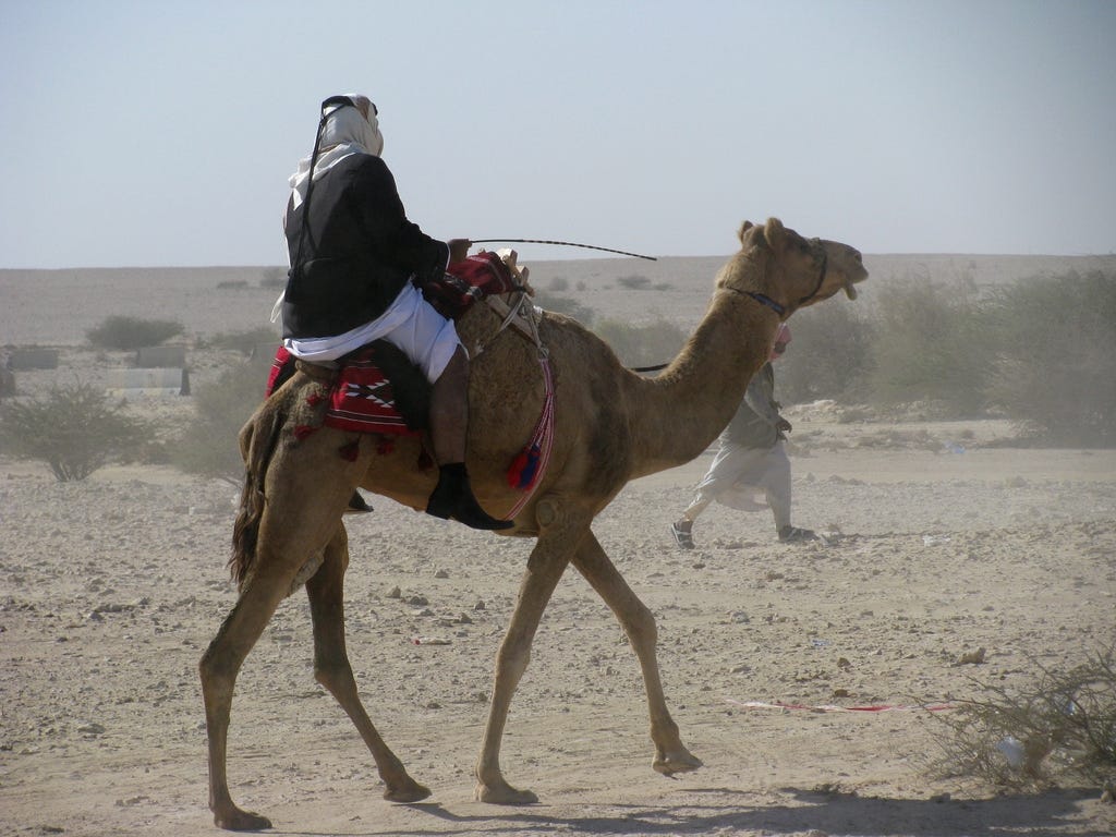Which language is spoken in Qatar? | by StudyCountry | Medium