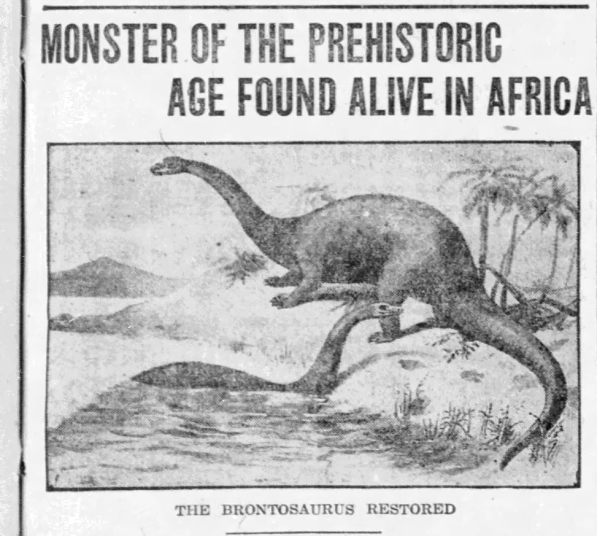 Searching for a Dinosaur Named Mokele Mbembe in the Central