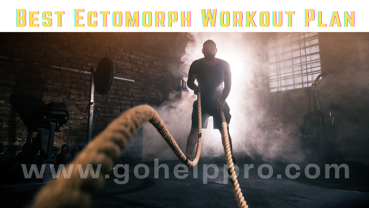 Ectomorph beginner workout discount plan