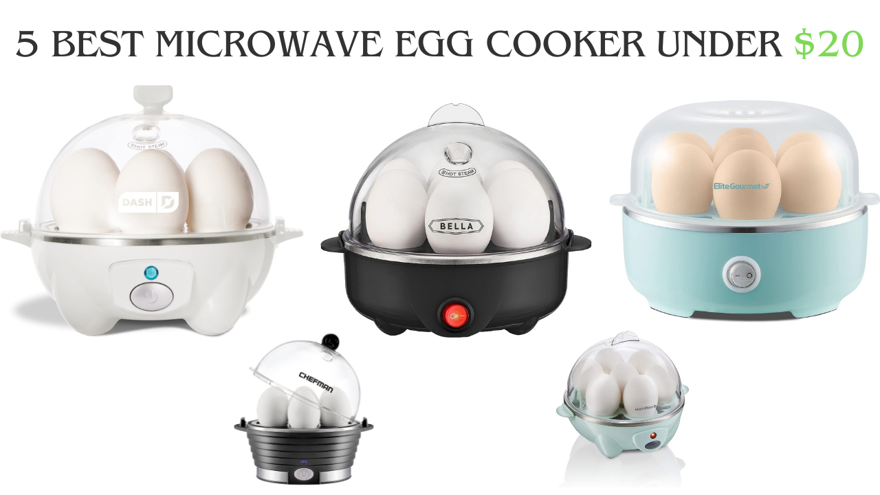 Elite Gourmet Easy Egg Cooker review. 