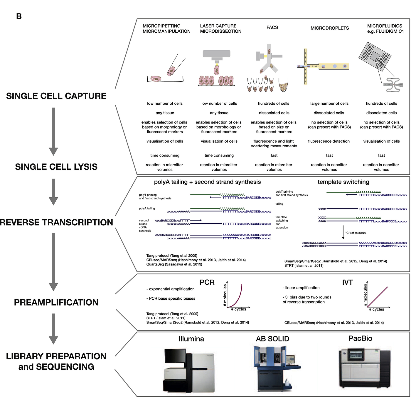 Overview of Single Cell RNA Sequencing. (1)