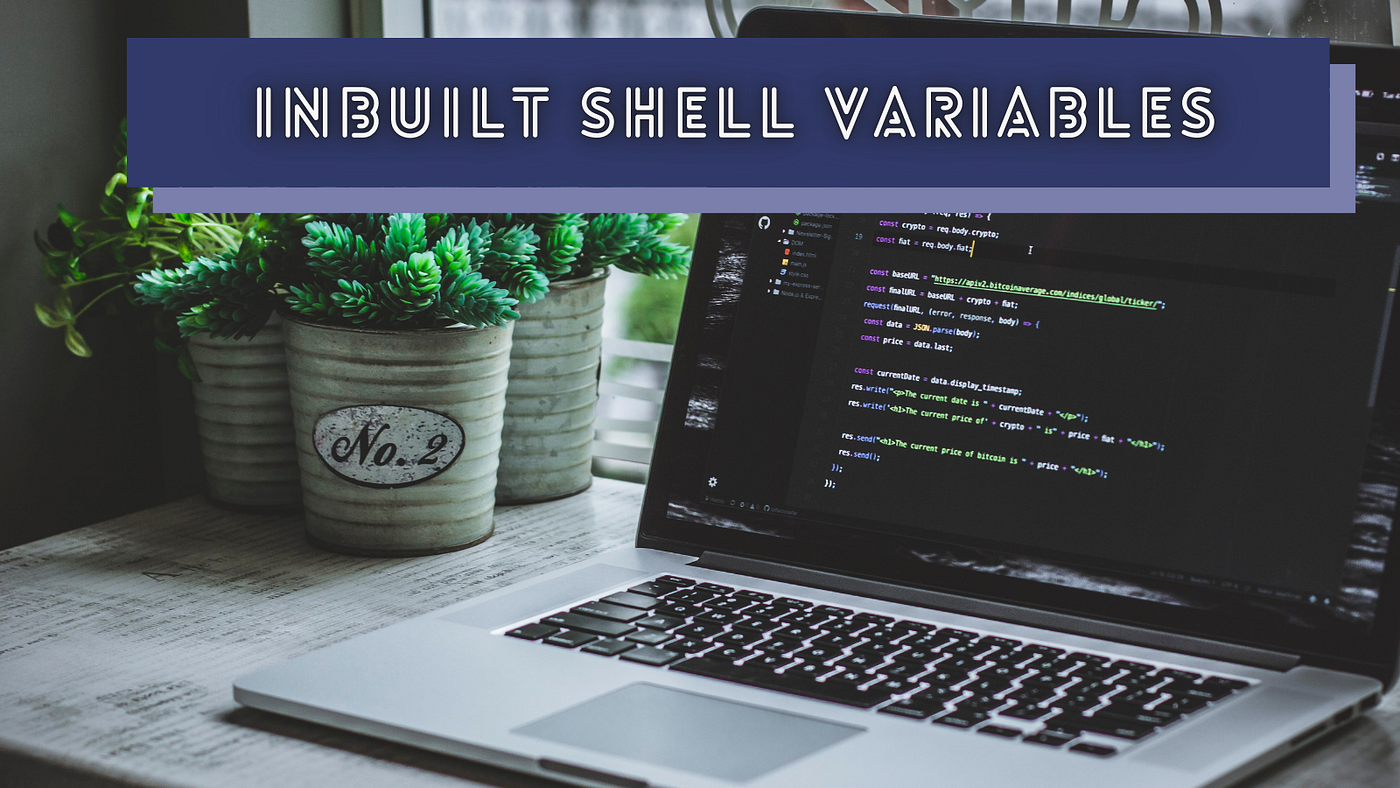 5 Inbuilt Bash Variables That Every Developer Should Know | by Shalitha  Suranga | Apr, 2023 | Level Up Coding