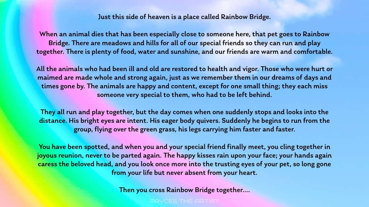 rainbow-bridge-poem-a-poem-for-anyone-who-has-lost-a-beloved-pet-by-raycee-the-artist-medium