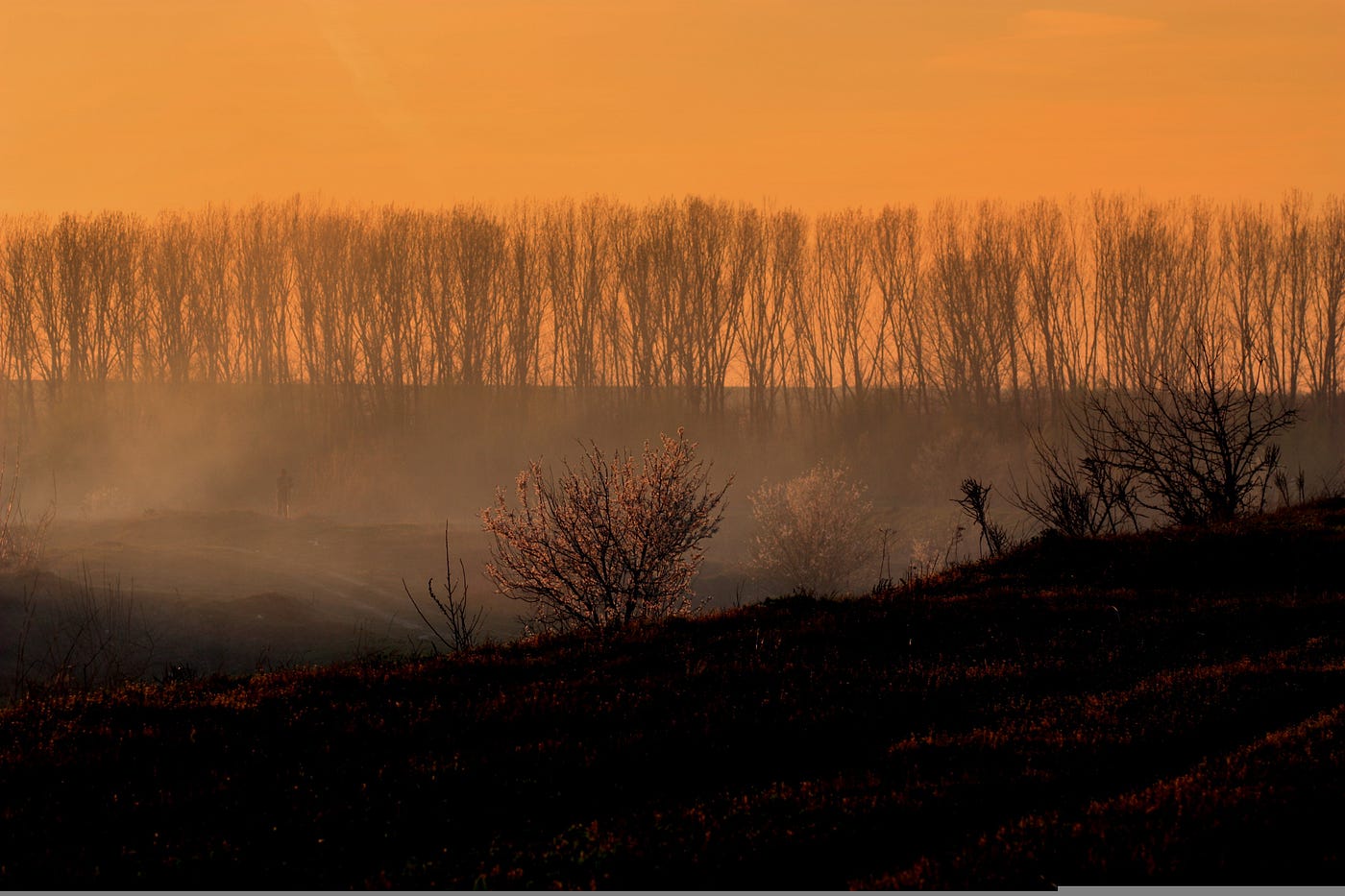 Image by Adina Voicu from Pixabay