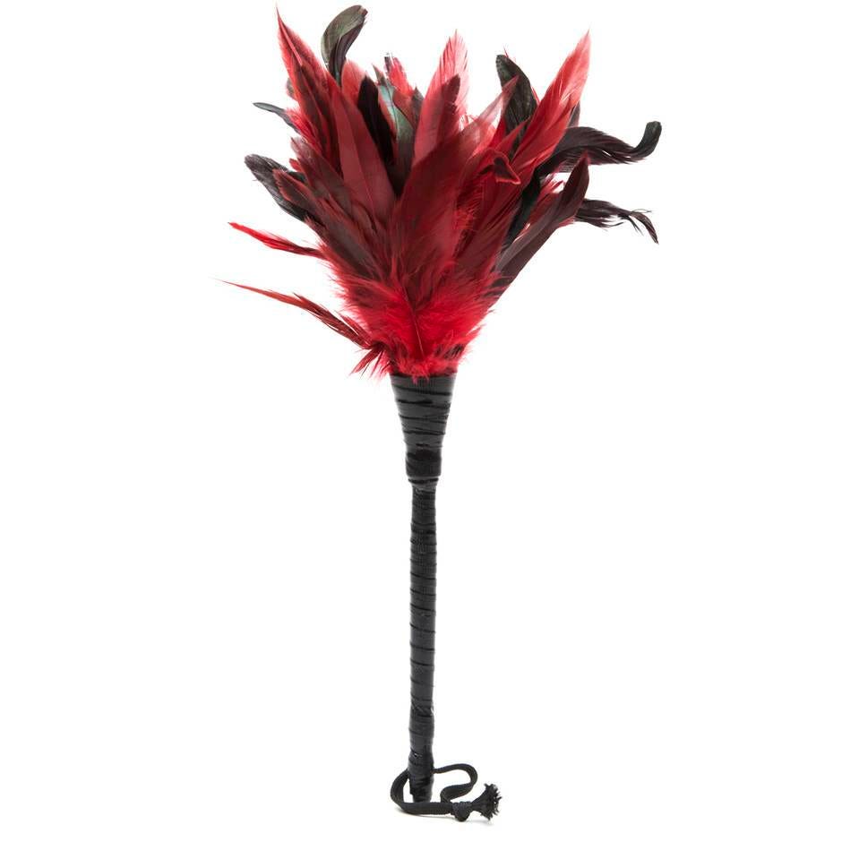 feather sex toys Amazon.com: Adult Feather Tickler 16 inch Role Play Cosplay French Tickler  Faux Feather Tickler for Adults Bedroom : טיפוח הבריאות והבית