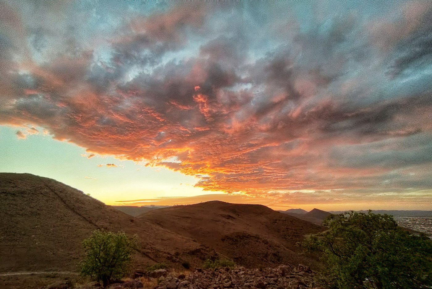 Sierra del Mogote, Parque Natural Chihuahuense