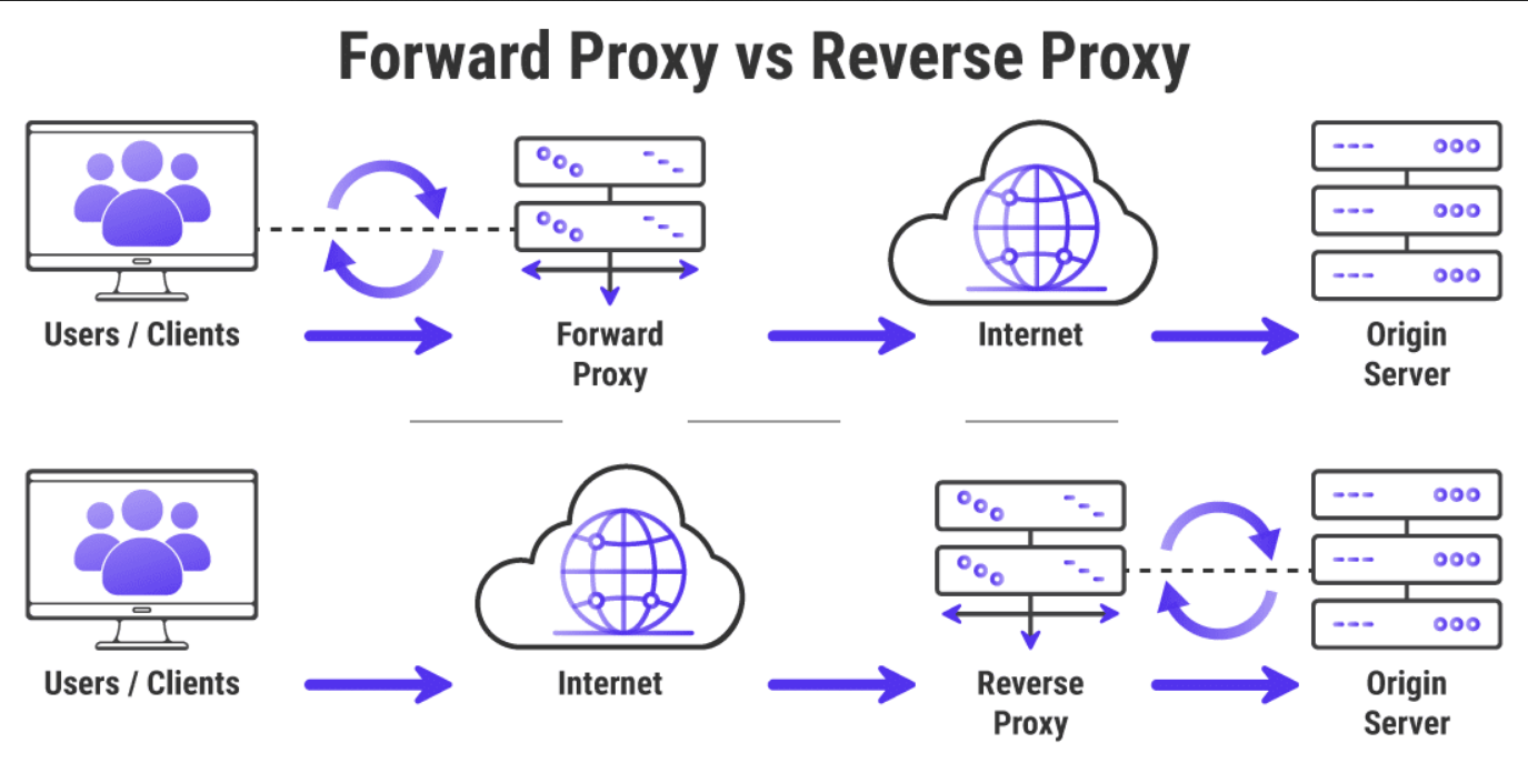 What is a Reverse Proxy Server? Learn How they Protect You